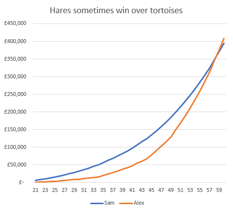 hares tortoises